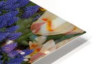 Tulip Garden HD Metal print