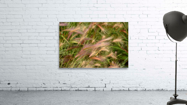 D71 1326 Wall Preview