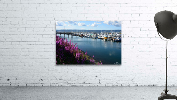 D71 9811 Wall Preview
