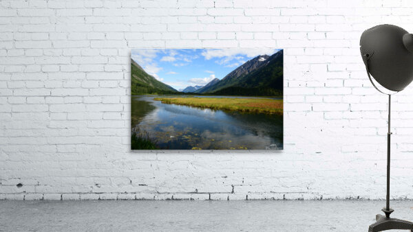 Tern Lake Alaska Wall Preview