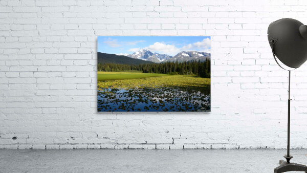 Moose Pass Alaska Wall Preview