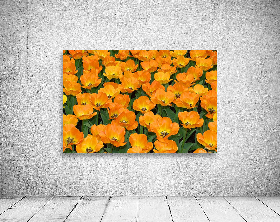 4 27 08 99enhanced Wall Preview