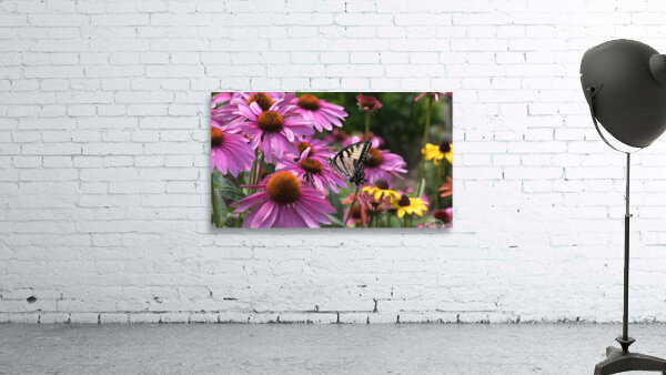 Butterfly 1 Wall Preview