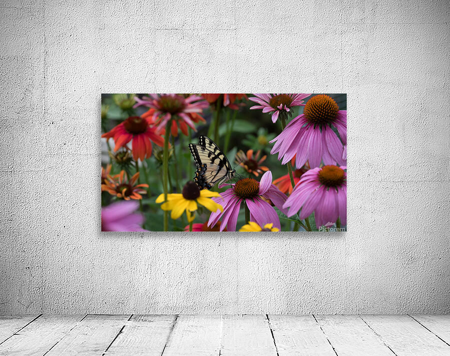 Butterfly 3 Wall Preview