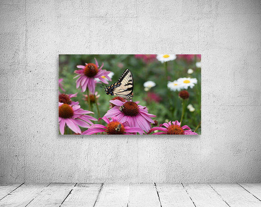 Butterfly 4 Wall Preview