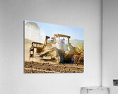Cat Beck Side 1.2 Acrylic Print