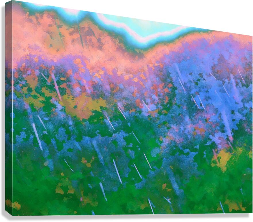  Vineyard in Rain 2                               Canvas Print