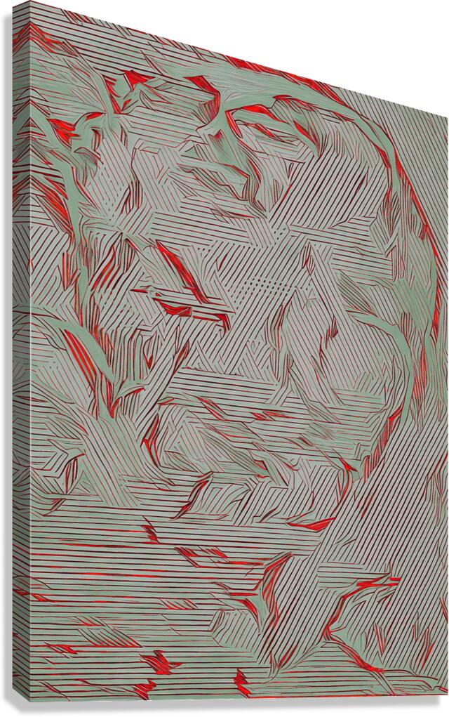 Door Screen   AI  05.3 Canvas Print