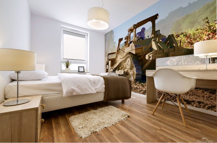 Cat Beck Side 1.2 Mural print