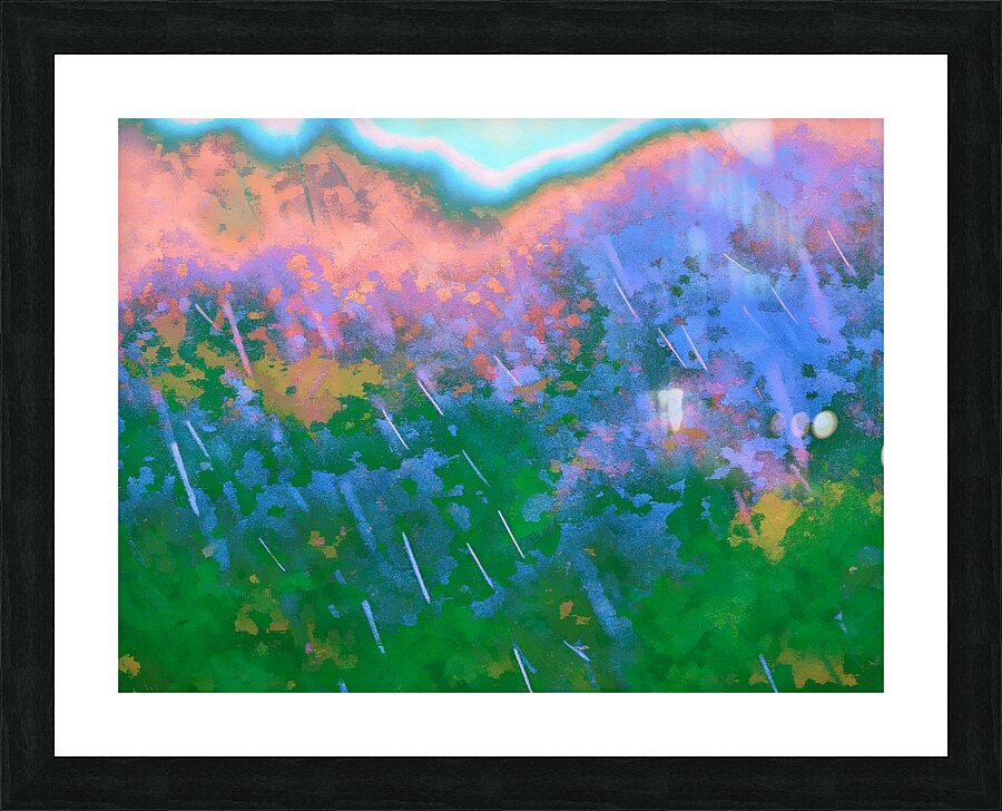  Vineyard in Rain 2                               Picture Frame print