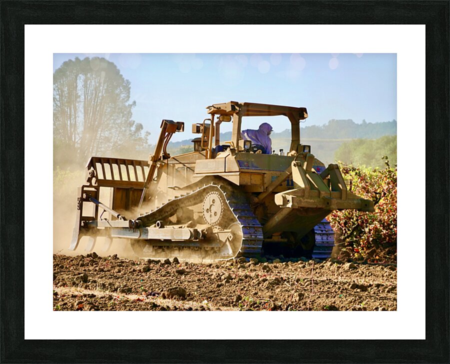 Cat Beck Side 1.2 Picture Frame print