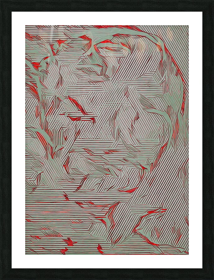 Door Screen   AI  05.3 Picture Frame print