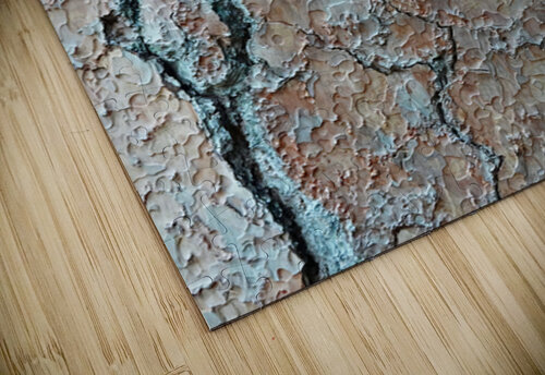 Cedar Tree Bark DSC04237 KOMurphy puzzle