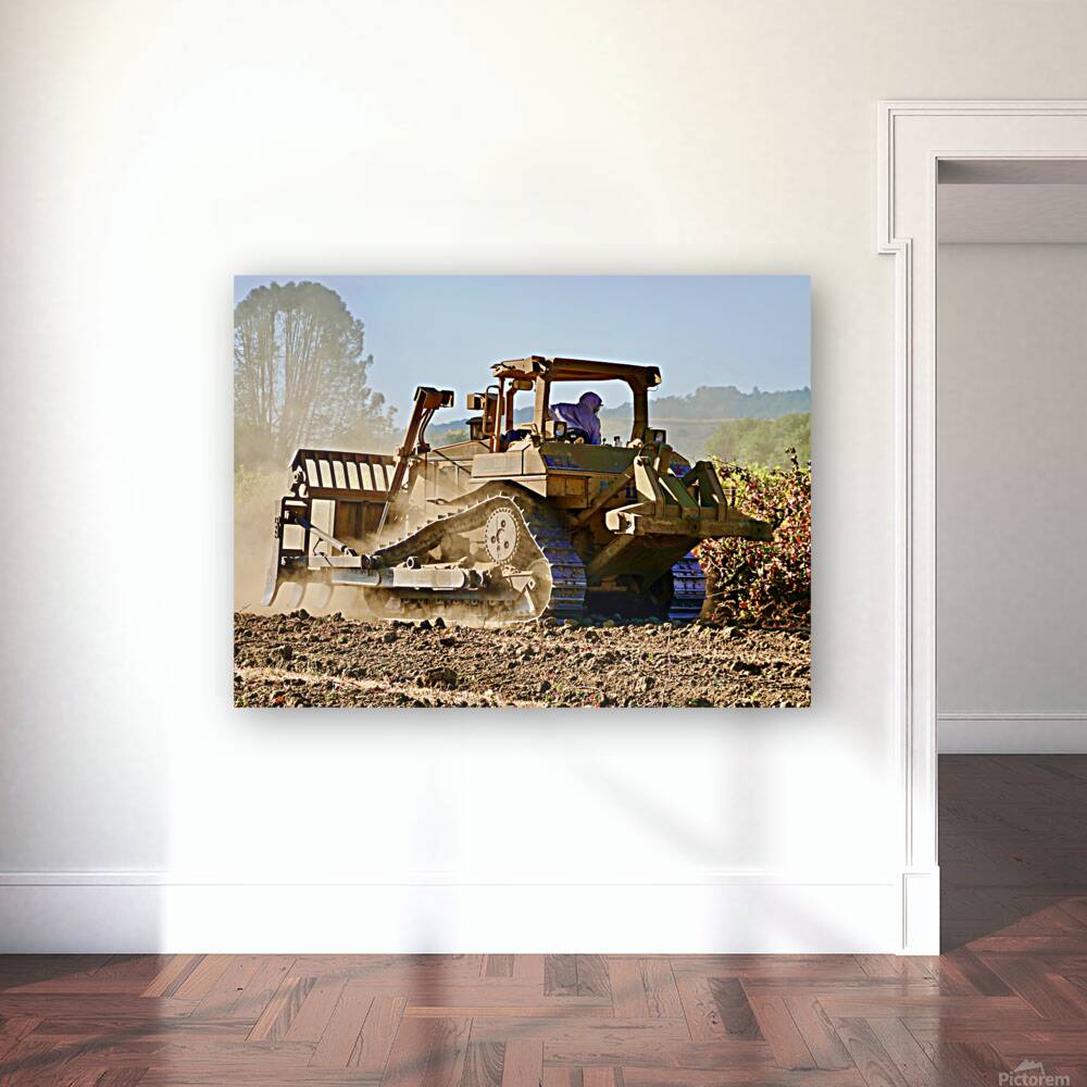 Cat Beck Side 1.2 Reproduction