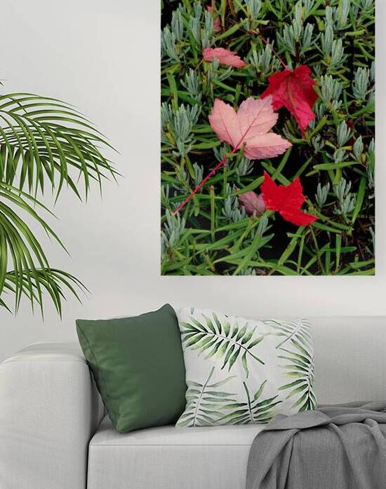 Botanical: Red Leaves & Rosemary by KOMurphy