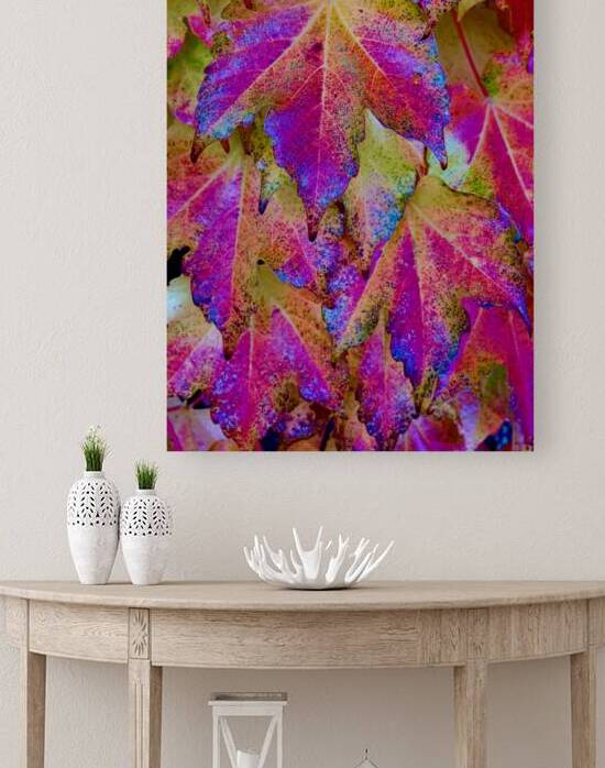 Botanical: Ivy Leaf 1 112624 by KOMurphy