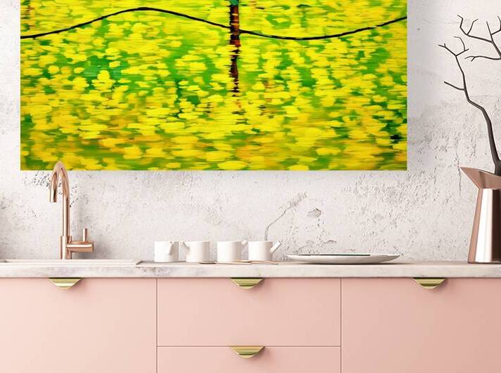 Mustard Motion 1.1 rlst 100  2 by KOMurphy