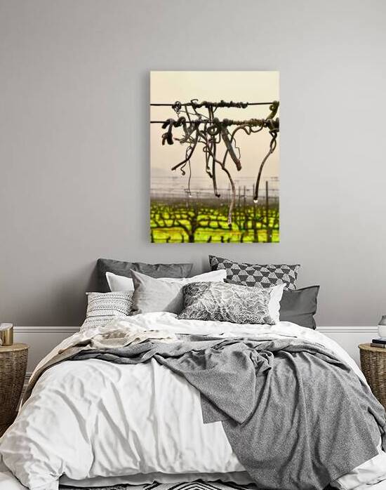 Tendrils  Vines January 1 24   rlst 35 by KOMurphy