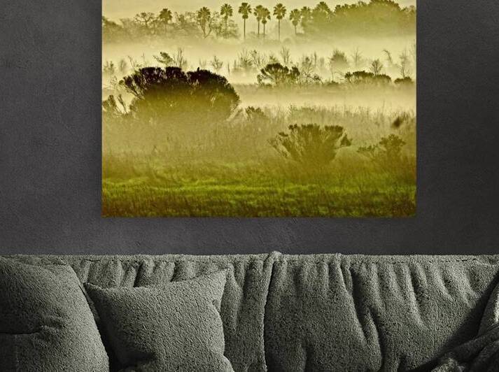 Napa River Slough 1.1 bef shp by KOMurphy