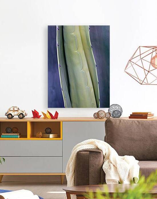 Cactus New Arm by KOMurphy