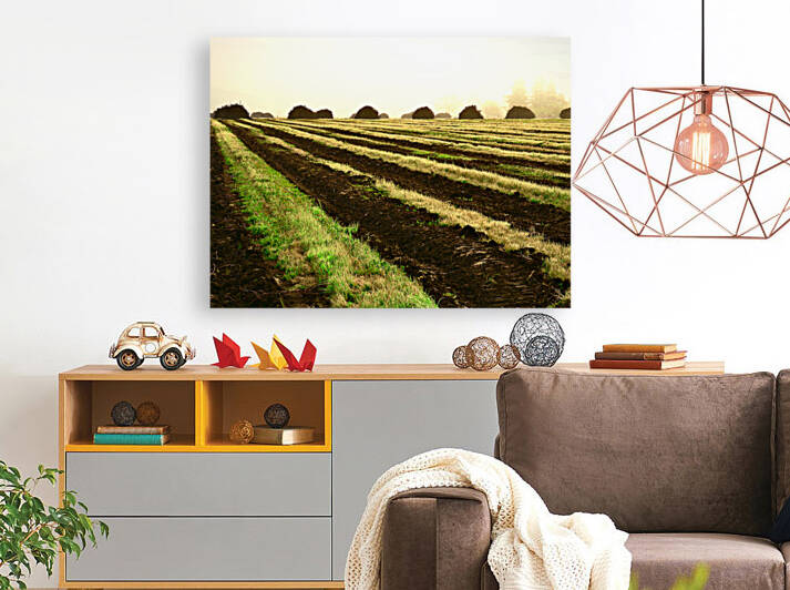 VIneyard Haystacks Napa 2018 by KOMurphy
