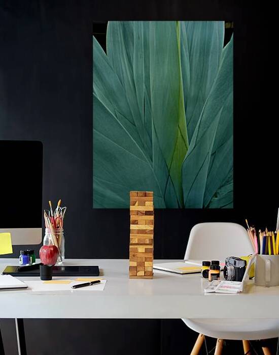SMA Cactus Casa Swan by KOMurphy
