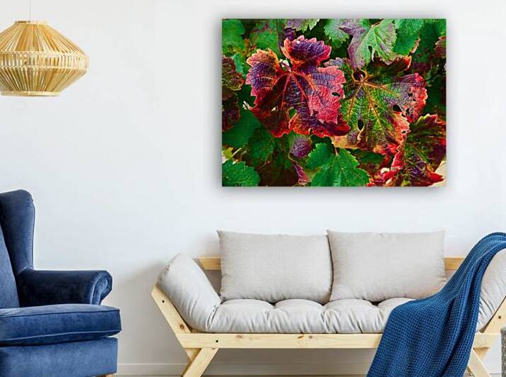 Botanical: Grape Leaves Orchard 2020-4H by KOMurphy