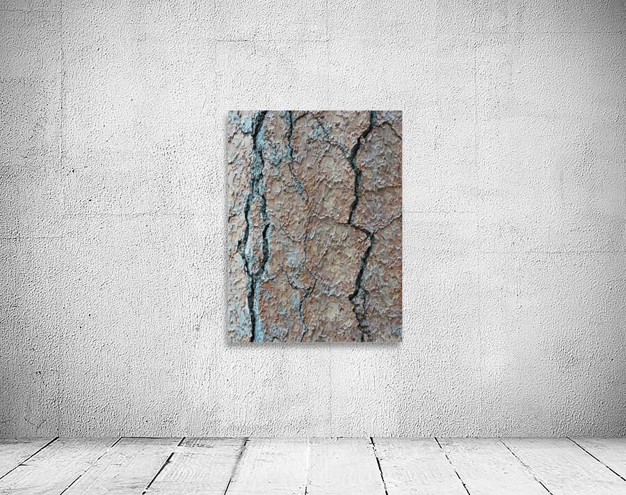 Cedar Tree Bark DSC04237 Wall Preview