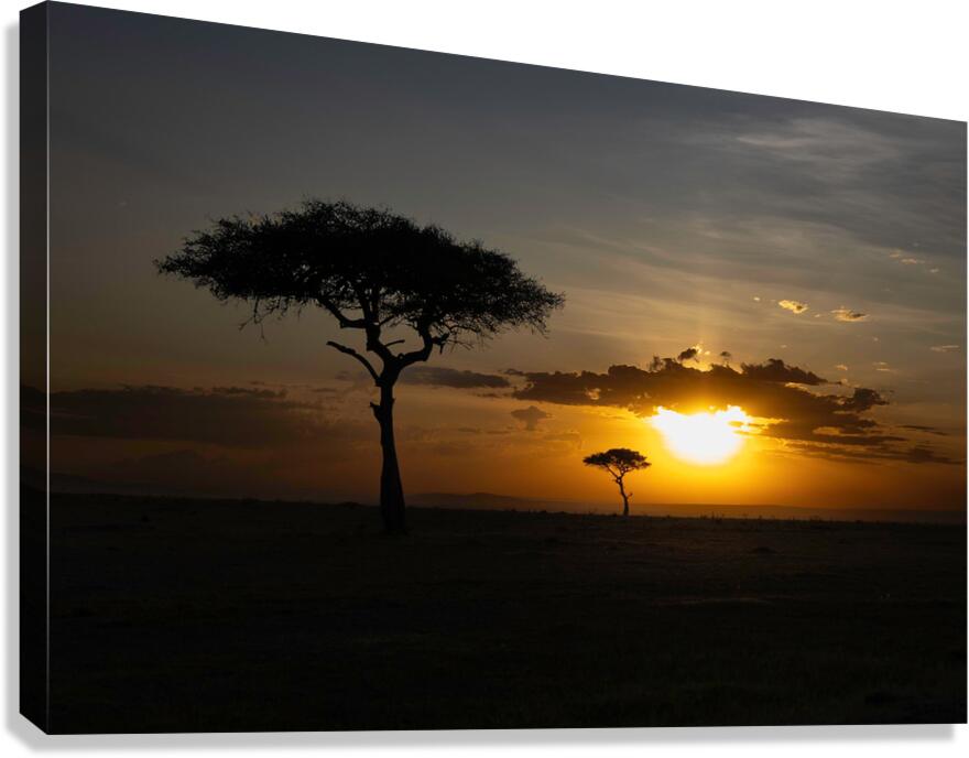 Africa Sunset Canvas Print