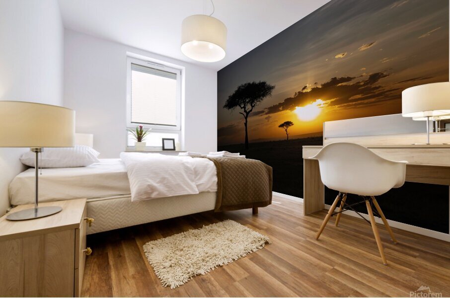 Africa Sunset Mural print
