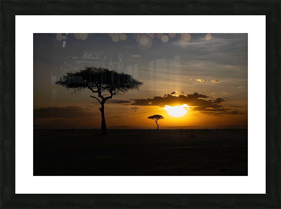 Africa Sunset Picture Frame print