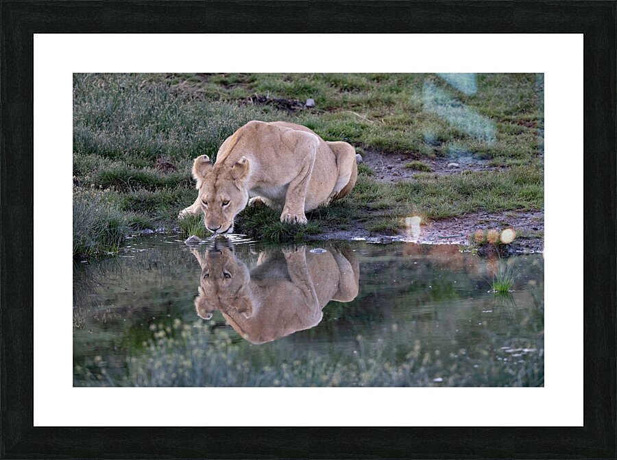 Out for a Drink Picture Frame print