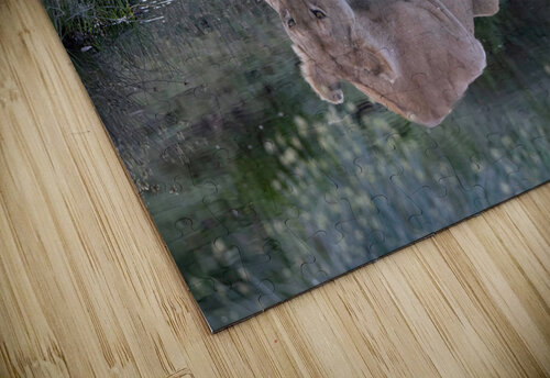 Out for a Drink David J Miller puzzle