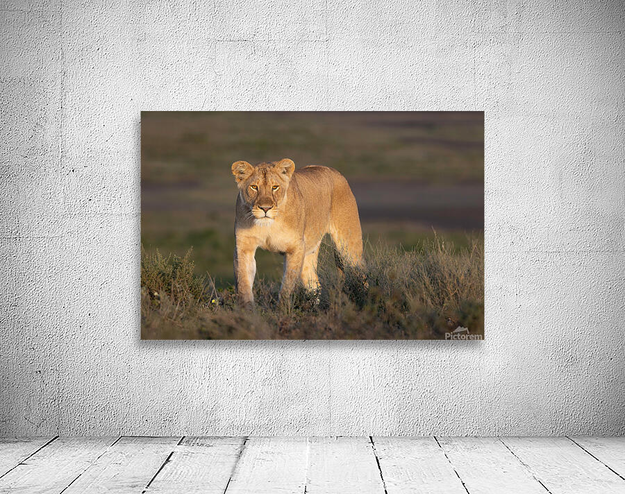 On the Hunt Wall Preview