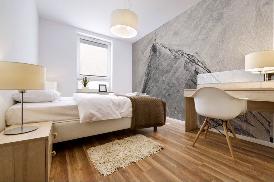 IMG 3609 Mural print