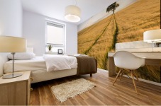 Lonely Tree in Corn Field Mural print