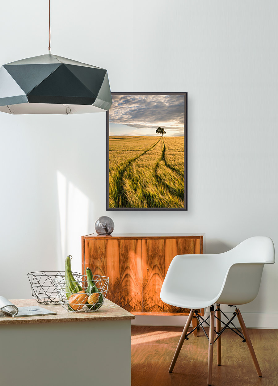 Lonely Tree in Corn Field Reproduction