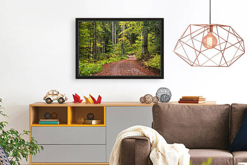 Fall Forest Reproduction