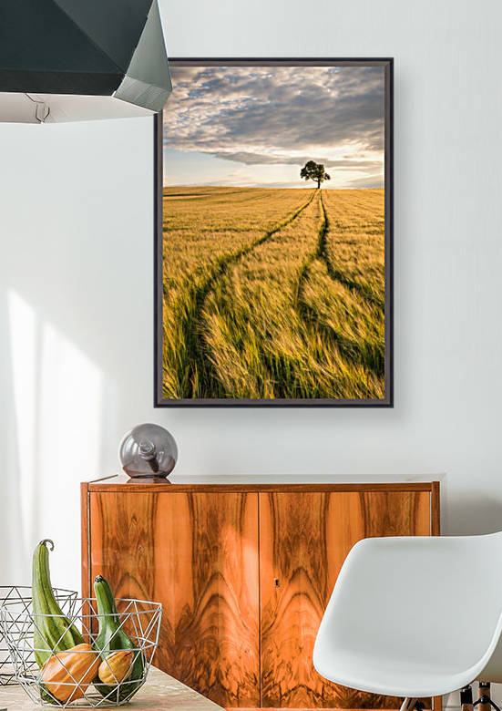 Lonely Tree in Corn Field by Andreas Wonisch