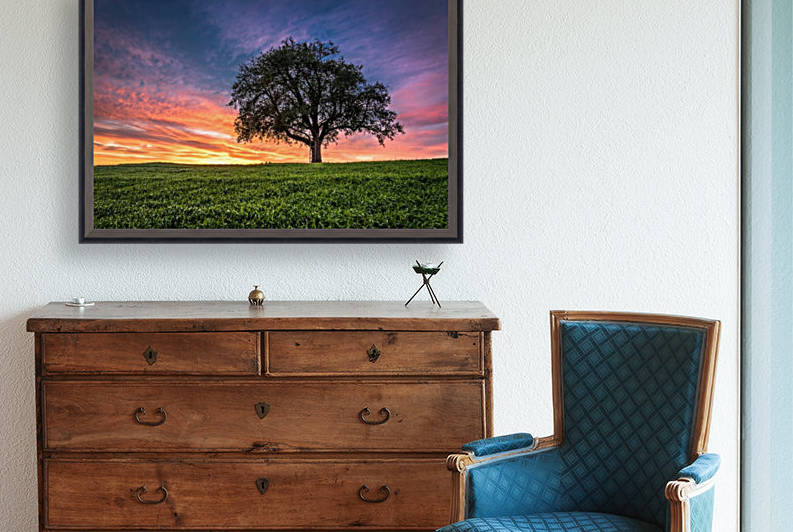 Lonely Tree at Sunset by Andreas Wonisch