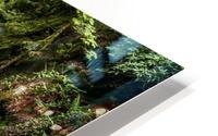 Watefall in the Black Forest in Germany HD Metal print
