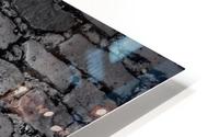 Balkan Streets HD Metal print
