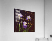 Irises Acrylic Print