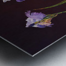 Irises Metal print