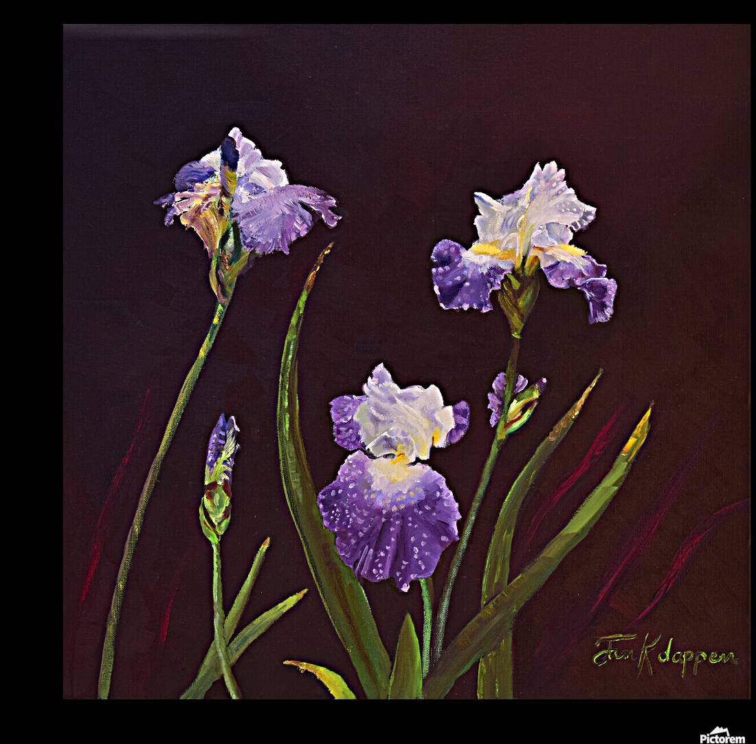 Irises Reproduction