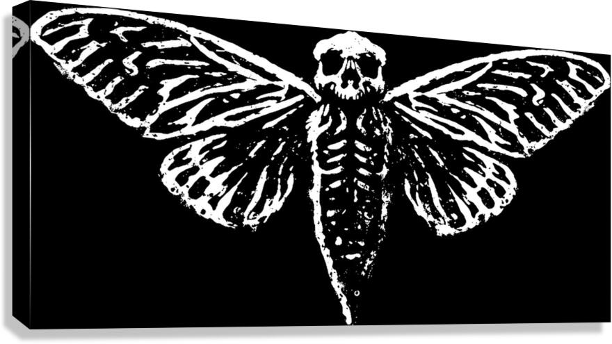Macabre Cicada 3301