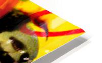 Don Pedro HD Metal print