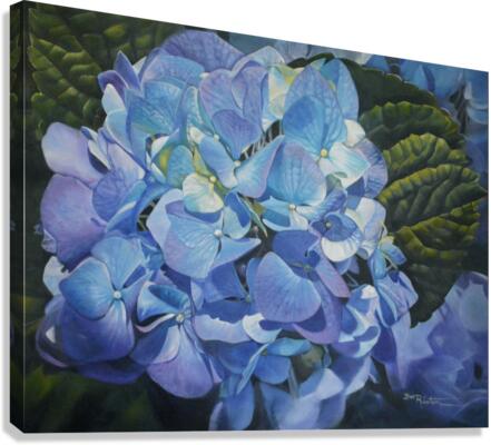 Cool Blue  Bev Robertson Canvas Print