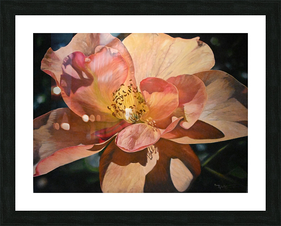 Full bloom  Picture Frame Printing
