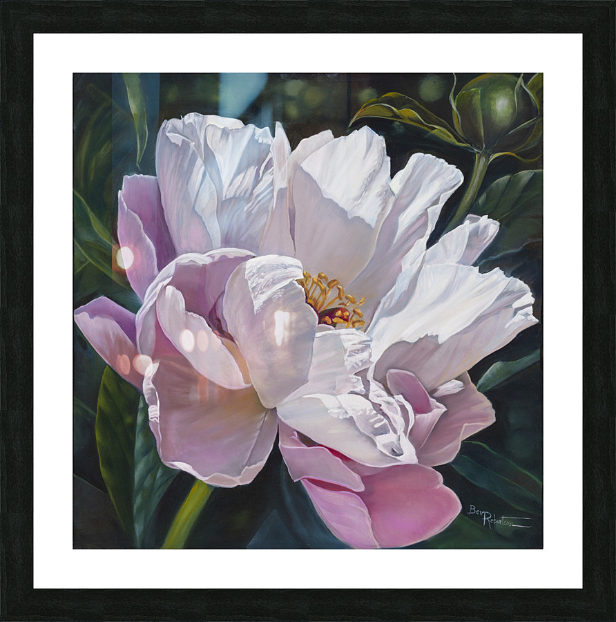  Single Pink peony Picture Frame Printing